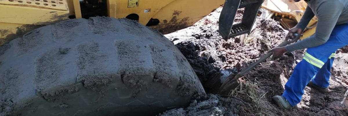 WhatsApp Image 2022-07-20 at 12.54.09 AM